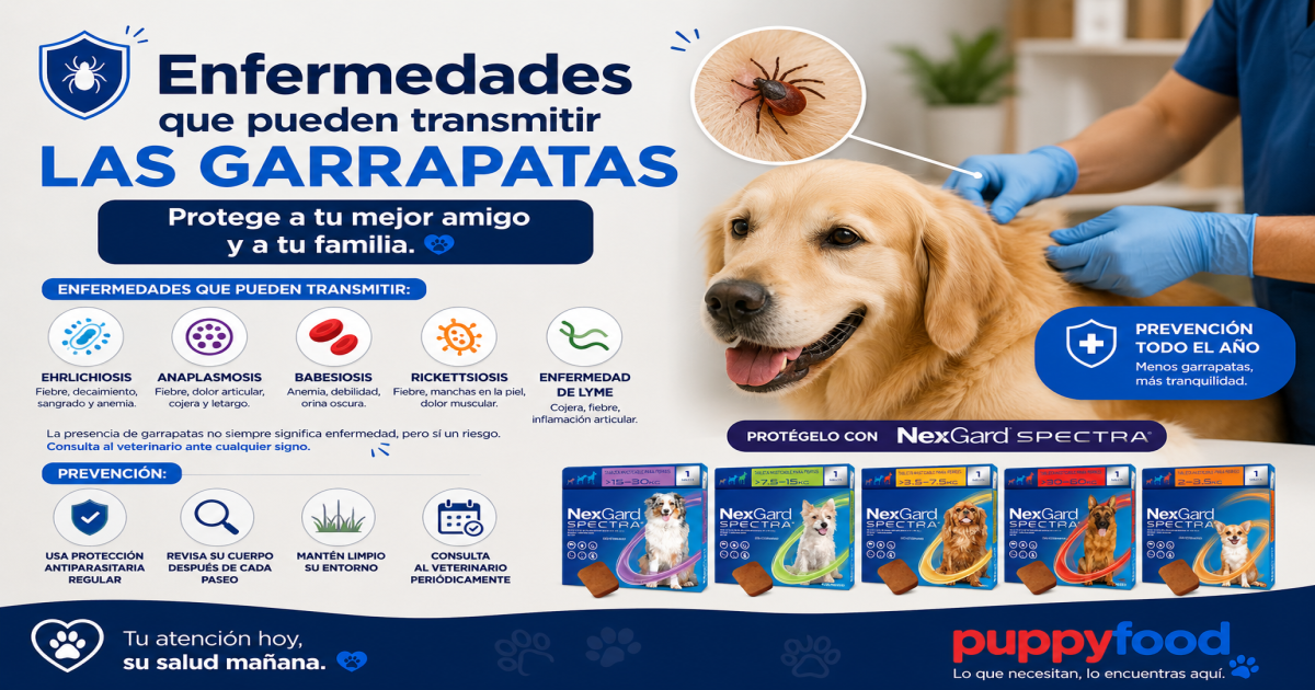 Enfermedades que pueden transmitir las garrapatas