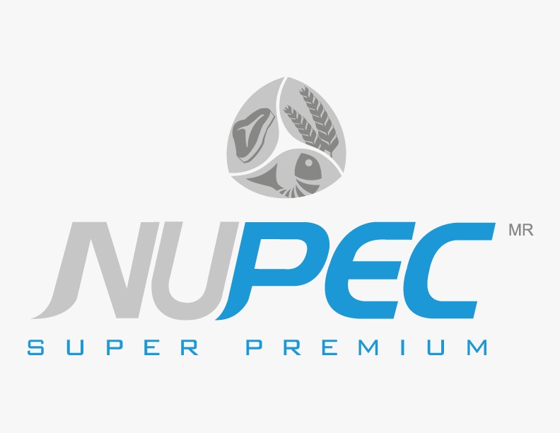 NUPEC